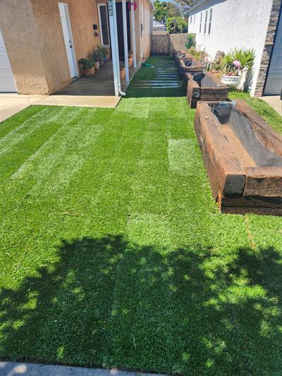 New green sod lawn leading toward a stepping-board side walkway