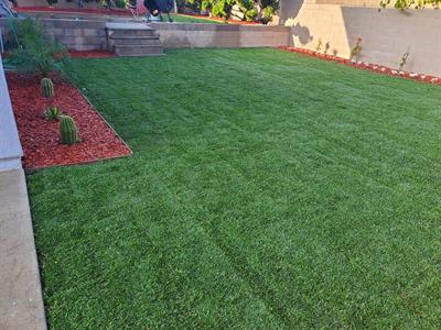 New sod lawn with red mulch beds along the property edges
