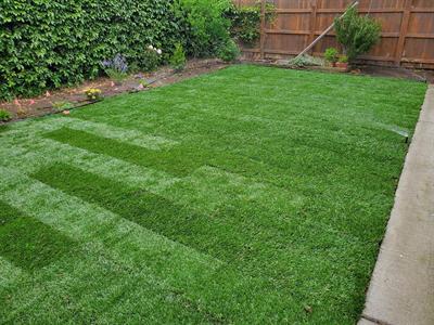 Finished rectangular Marathon II sod lawn with clean edges