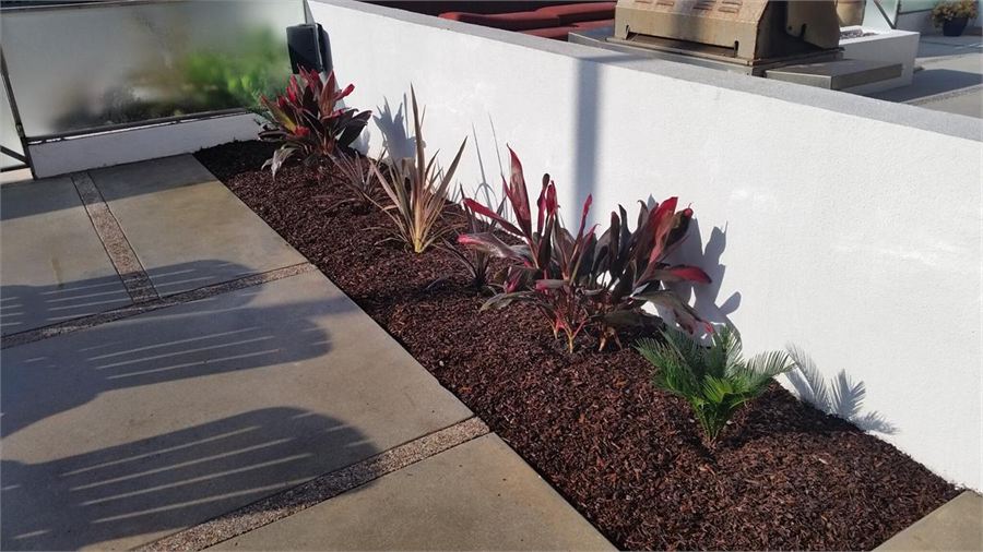 Newly planted landscape bed with dark mulch along a modern wall