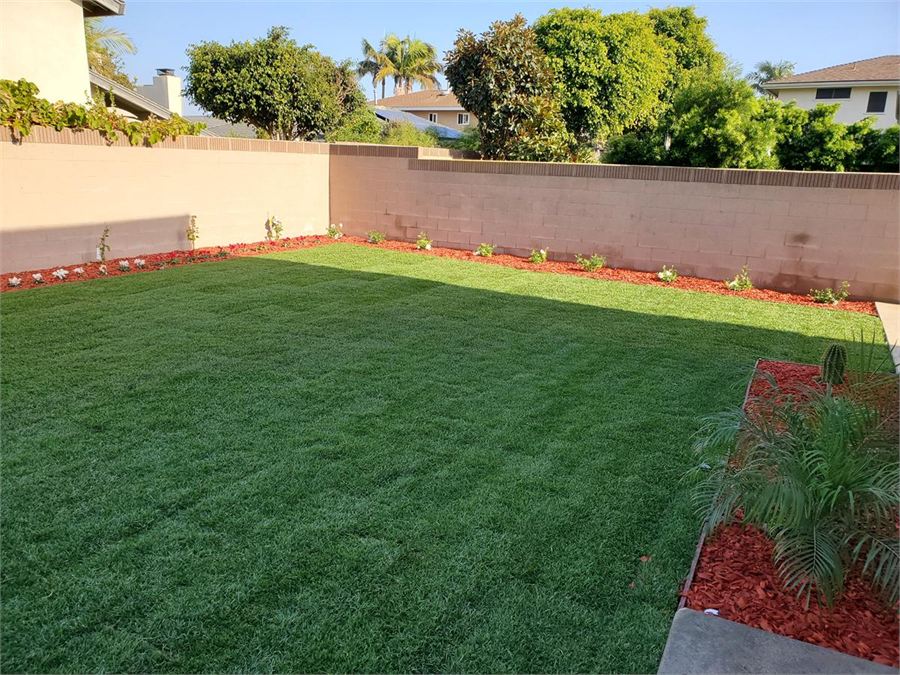 Finished green lawn bordered by red mulch and new plants