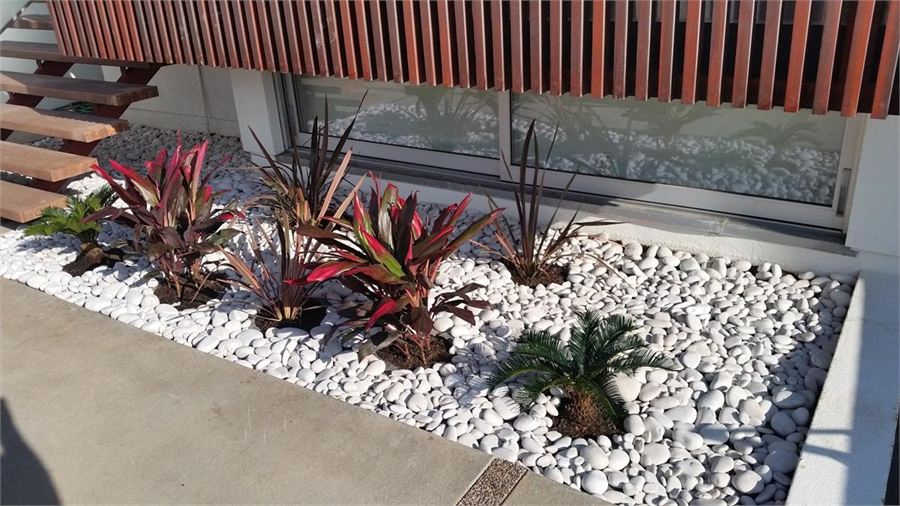 White pebble landscape bed with tropical plants beside a walkway