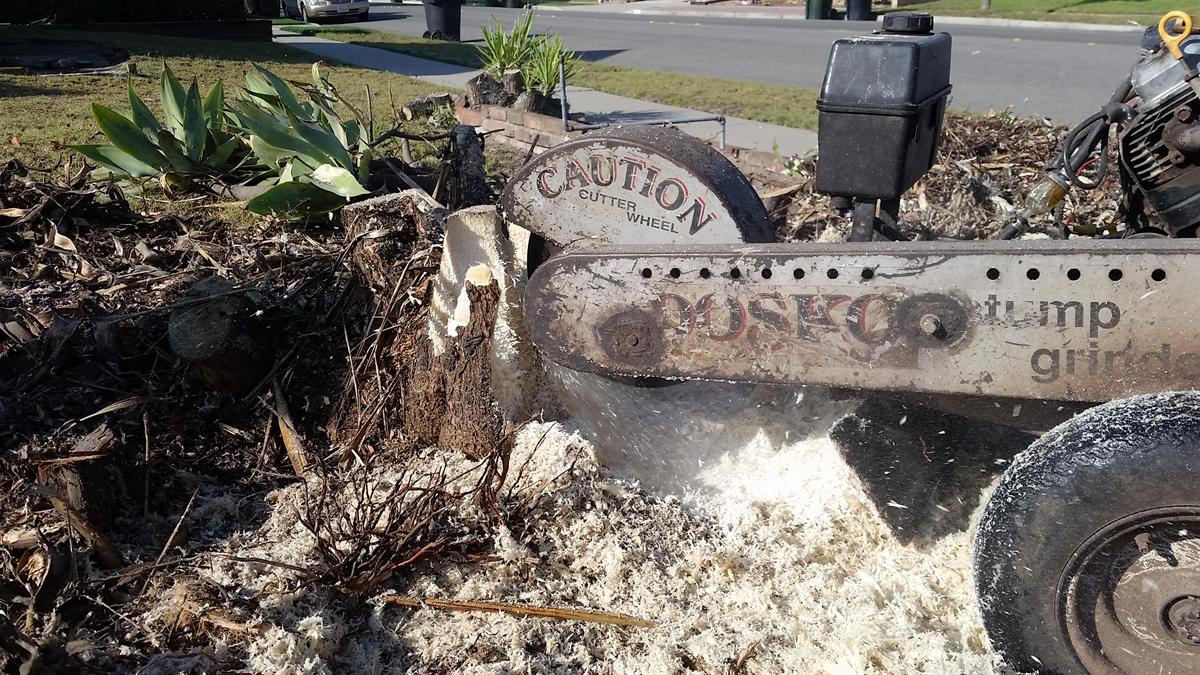 Stump removal equipment working in a landscape bed