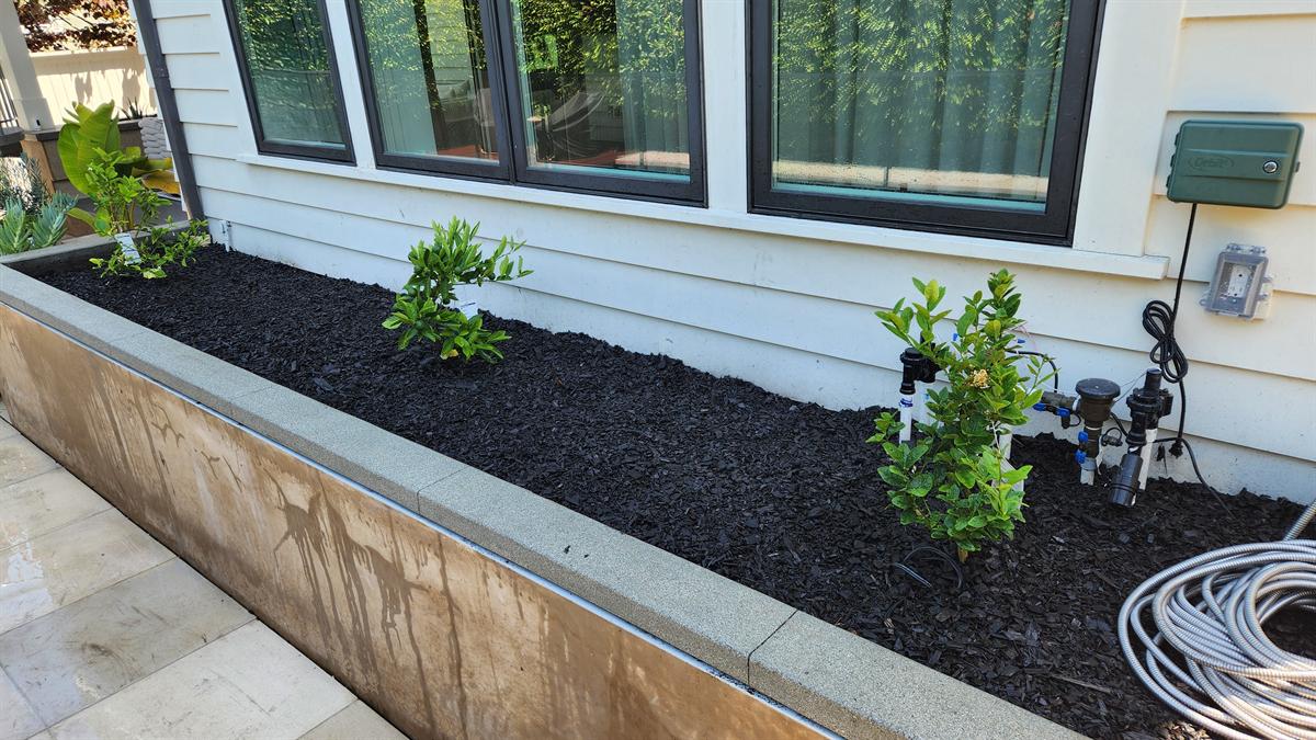 Clean planting bed with shrubs and mulch beside a home